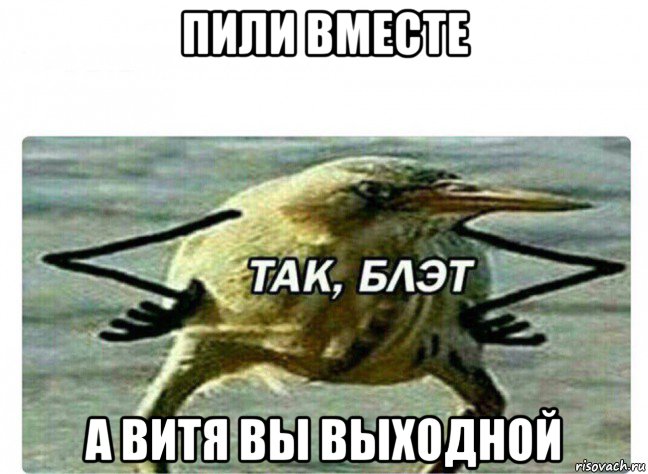 пили вместе а витя вы выходной, Мем Так Блэт