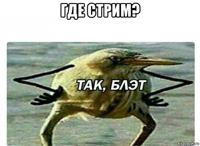 где стрим? , Мем Так Блэт