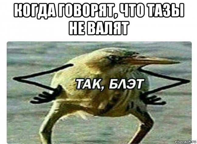 когда говорят, что тазы не валят , Мем Так Блэт