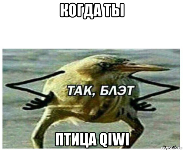 когда ты птица qiwi, Мем Так блэт