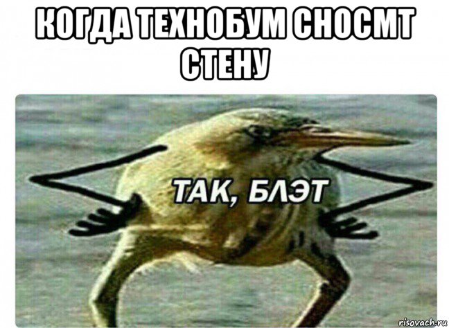 когда технобум сносмт стену , Мем Так Блэт