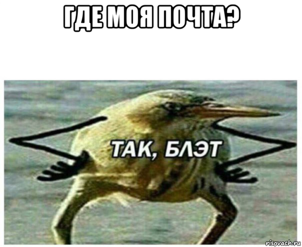 где моя почта? , Мем Так блэт