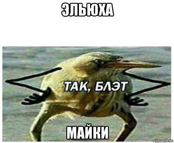 эльюха майки, Мем Так блэт