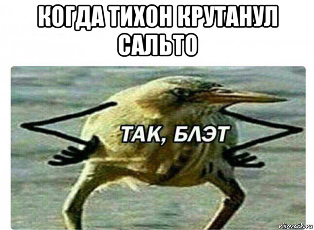 когда тихон крутанул сальто , Мем Так Блэт