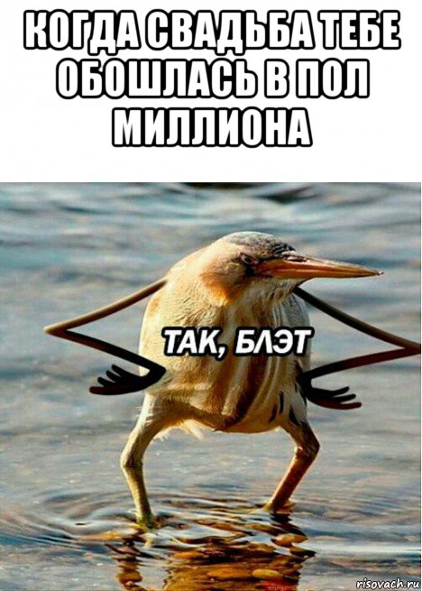 Картинка так блэт