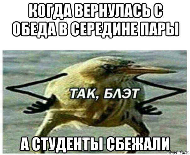 когда вернулась с обеда в середине пары а студенты сбежали, Мем Так блэт