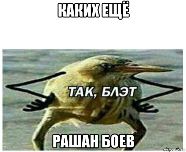 каких ещё рашан боев