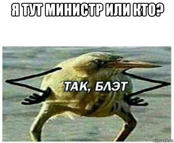 я тут министр или кто? 