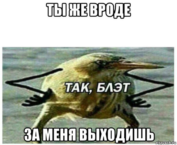 ты же вроде за меня выходишь, Мем Так блэт