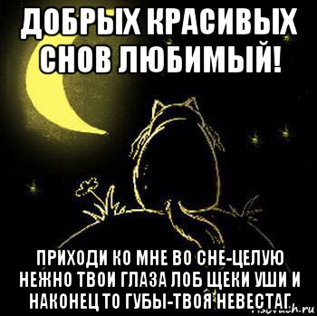 Приходи ко мне во сне. Я приду к тебе во сне. Спокойной ночи приду к тебе во сне. Спокойной ночи я приду к тебе во сне.