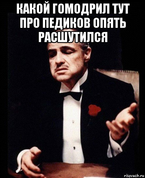 какой гомодрил тут про педиков опять расшутился , Мем ты делаешь это без уважения