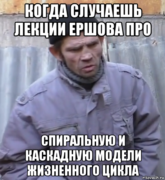 когда случаешь лекции ершова про спиральную и каскадную модели жизненного цикла, Мем  Ты втираешь мне какую то дичь