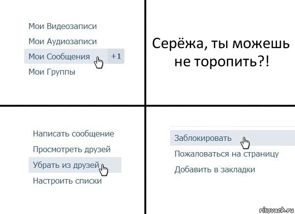 Серёжа, ты можешь не торопить?!, Комикс  Удалить из друзей