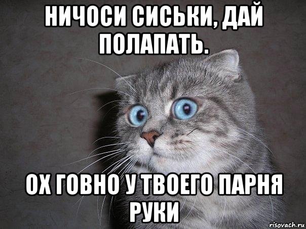 ничоси сиськи, дай полапать. ох говно у твоего парня руки, Мем  удивлённый кот