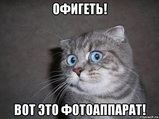 офигеть! вот это фотоаппарат!, Мем  удивлённый кот