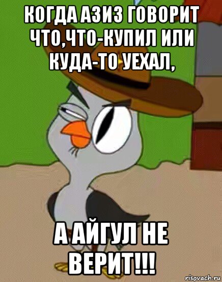 когда азиз говорит что,что-купил или куда-то уехал, а айгул не верит!!!, Мем    Упоротая сова