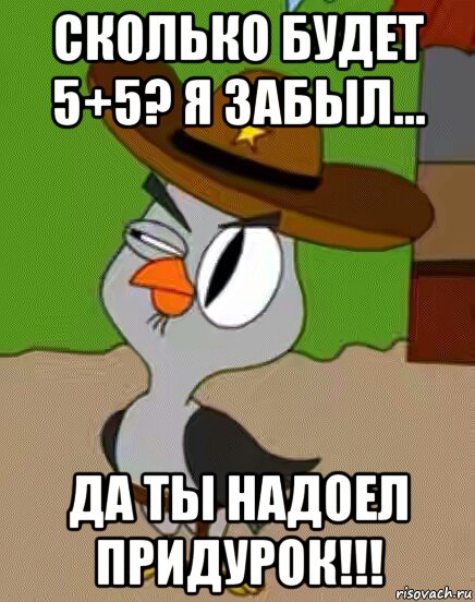 сколько будет 5+5? я забыл... да ты надоел придурок!!!, Мем    Упоротая сова