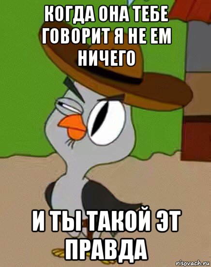 когда она тебе говорит я не ем ничего и ты такой эт правда, Мем    Упоротая сова