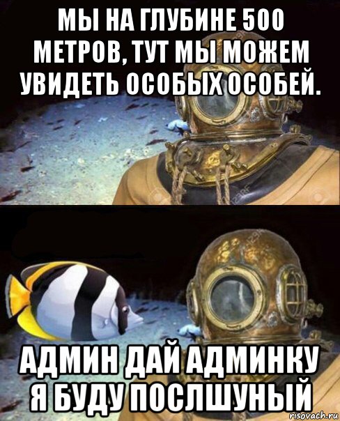 мы на глубине 500 метров, тут мы можем увидеть особых особей. админ дай админку я буду послшуный, Мем   Высокое давление