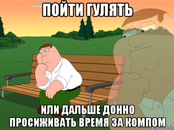 пойти гулять или дальше донно просиживать время за компом, Мем Задумчивый Гриффин