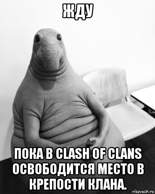 жду пока в clash of clans освободится место в крепости клана., Мем  Ждун