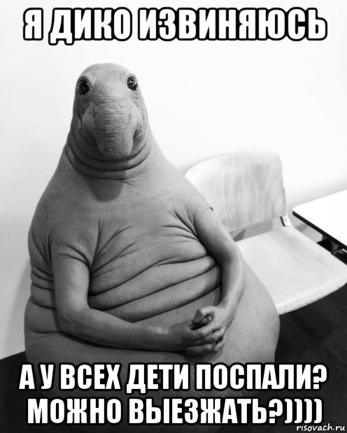 я дико извиняюсь а у всех дети поспали? можно выезжать?)))), Мем  Ждун