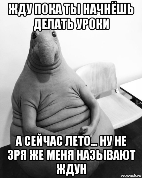 Сижу жду. Ждун Вика.