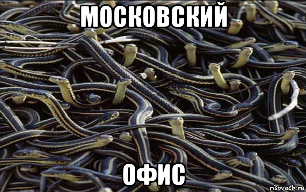 Коллектив Змей Фото