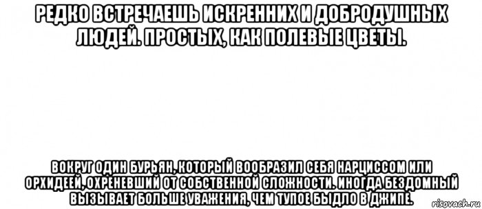 редко встречаешь искренних и добродушных людей. простых, как полевые цветы. вокруг один бурьян, который вообразил себя нарциссом или орхидеей, охреневший от собственной сложности. иногда бездомный вызывает больше уважения, чем тупое быдло в джипе.