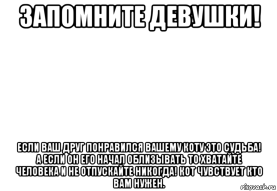 запомните девушки! если ваш друг понравился вашему коту это судьба! а если он его начал облизывать то хватайте человека и не отпускайте никогда! кот чувствует кто вам нужен., Мем Белый фон