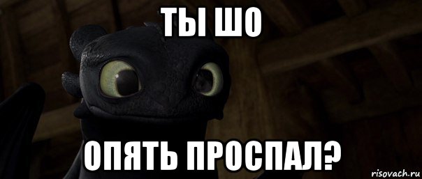 Опять нажал. Беззубик Мем. Опять проспал. Проспал мемы. Опять все проспал прикол.