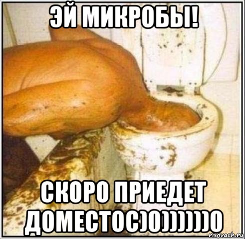 эй микробы! скоро приедет доместос)0))))))0, Мем Дайвер