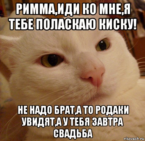 римма,иди ко мне,я тебе поласкаю киску! не надо брат,а то родаки увидят,а у тебя завтра свадьба, Мем Дерзкий котэ