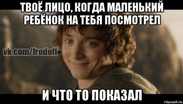 твоё лицо, когда маленький ребёнок на тебя посмотрел и что то показал, Мем  Фродо