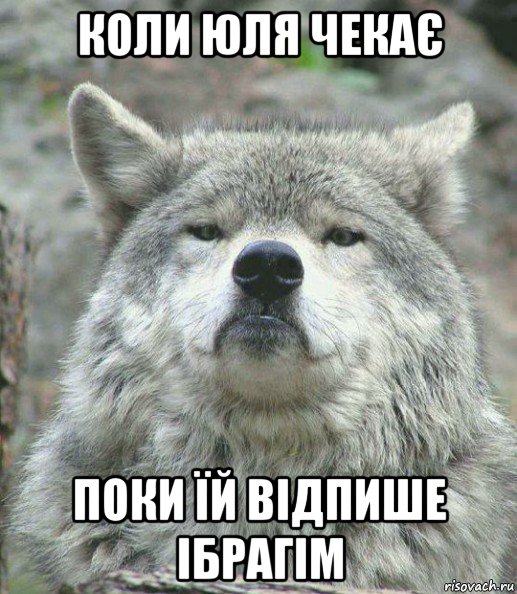 коли юля чекає поки їй відпише ібрагім, Мем    Гордый волк