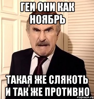 геи они как ноябрь такая же слякоть и так же противно, Мем хрен тебе а не история