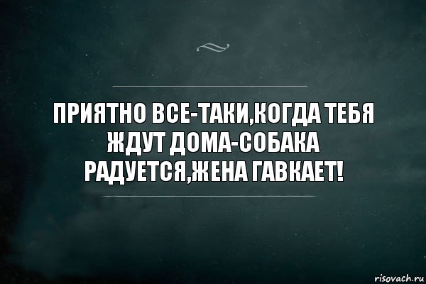 ПРИЯТНО ВСЕ-ТАКИ,КОГДА ТЕБЯ ЖДУТ ДОМА-СОБАКА РАДУЕТСЯ,ЖЕНА ГАВКАЕТ!, Комикс Игра Слов