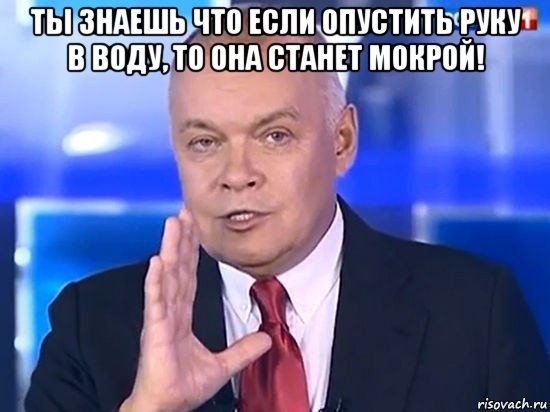 ты знаешь что если опустить руку в воду, то она станет мокрой! , Мем Киселёв 2014