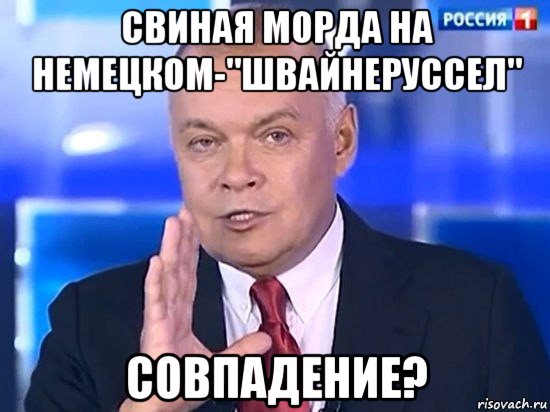 свиная морда на немецком-"швайнеруссел" совпадение?, Мем Киселёв 2014