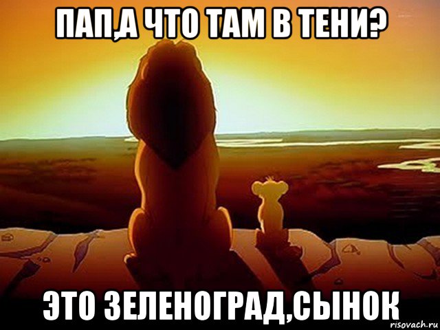 пап,а что там в тени? это зеленоград,сынок, Мем  король лев