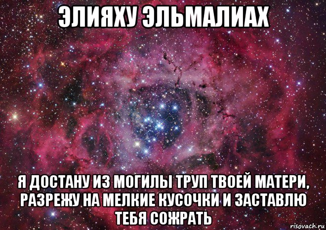 элияху эльмалиах я достану из могилы труп твоей матери, разрежу на мелкие кусочки и заставлю тебя сожрать, Мем Ты просто космос