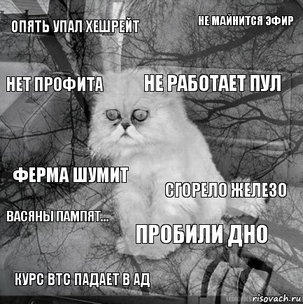 опять упал хешрейт сгорело железо не работает пул курс BTC падает в Ад ферма шумит не майнится Эфир пробили дно нет профита Васяны пампят... , Комикс  кот безысходность