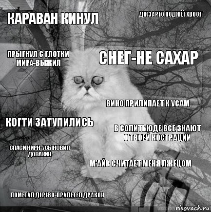 караван кинул в солитьюде все знают о твоей кострации снег-не сахар пометил дерево-прилетел дракон когти затупились джзарго поджёг хвост м'айк считает меня лжецом прыгнул с глотки мира-выжил спаси нирн-усыновил довакин вино прилипает к усам, Комикс  кот безысходность