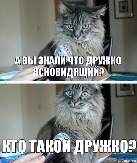 А вы знали что дружко ясновидящий? Кто такой дружко?, Комикс  кот с микрофоном