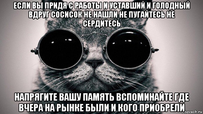 если вы придя с работы и уставший и голодный вдруг сосисок не нашли не пугайтесь не сердитесь напрягите вашу память вспоминайте где вчера на рынке были и кого приобрели, Мем Котоматрица