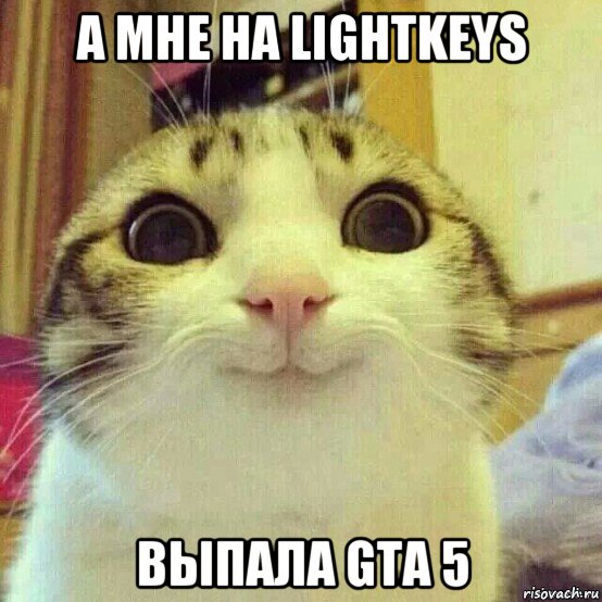 а мне на lightkeys выпала gta 5, Мем       Котяка-улыбака