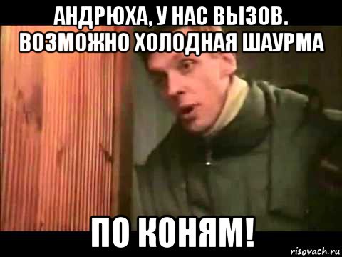 андрюха, у нас вызов. возможно холодная шаурма по коням!, Мем Ларин по коням