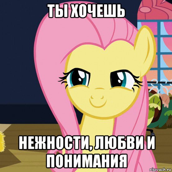 ты хочешь нежности, любви и понимания, Мем  Mem Fluttershy