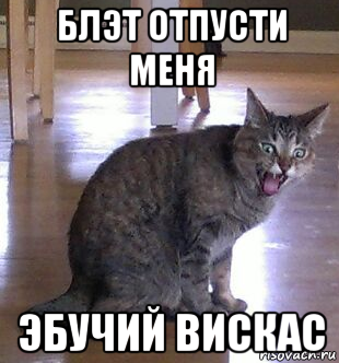 Скачай это бесплатное Фото на тему Не пущу мем и открой