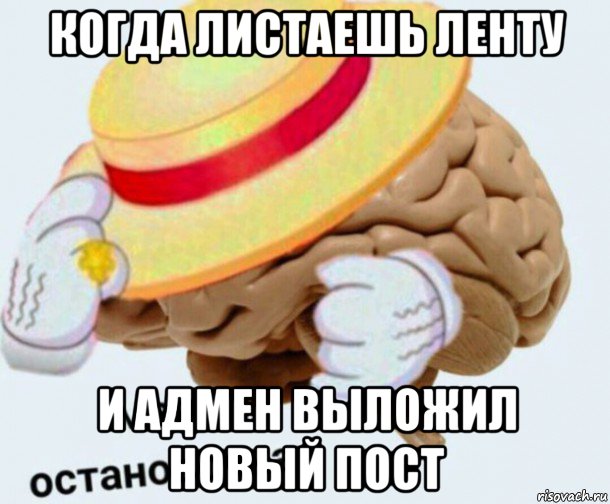 когда листаешь ленту и адмен выложил новый пост, Мем   Моя остановочка мозг